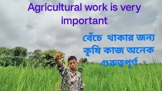বেঁচে থাকার জন্য কৃষি কাজ খুবি গুরুত্বপূর্ণ// Agricultural work is very important//