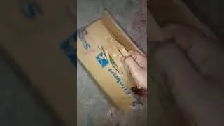 good vibes face toner //tonre unboxing // face glow toner //rose  toner#short