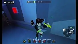 Play Roblox 