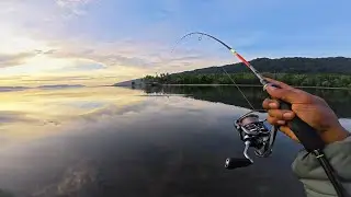 MELEDAK DIDEPAN MATA‼️ SAMBARAN IKAN INI BIKIN JANTUNGAN