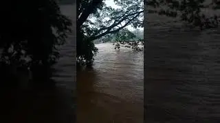 😱😱 Kali Nadi karnatak Dandeli Bridge