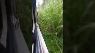 Most dangerous bend in train travel