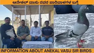 ಆನೇಕಲ್ ವಾಸು ರವರ ಪಾರಿವಾಳಗಳ ಬಗ್ಗೆ / Information about anekal vasu sir birds