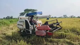 Kubota dc 68g  harvester ( ଧାନ କଟା machine )🌾🌾🌾