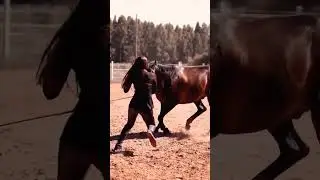 Freedom lover‼❤          Girl Horse Riding 😘     🐎🐎🏇🏇