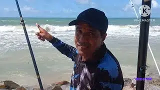 ERA SÓ JOGAR NO ESPUMEIRO QUE OS BRUTOS SAIAM