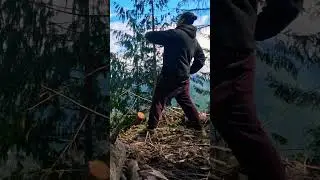 When you feel like an Explorer #pnw #camping #forest #pnwadventures #wildcamp