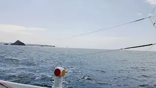 01-15-26 Taiwan fishing boat navigation operation catch king mackerel using artificial bait #live