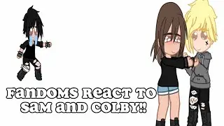 Fandoms react to Sam and Colby! 1/2? || kinda angst, kinda Solby, cut short||