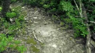 De Soto National Forest Mississippi #1 High Def.