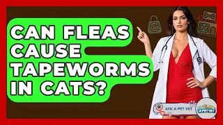 Can Fleas Cause Tapeworms In Cats? - Ask A Pet Vet