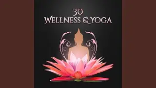 Home Wellness