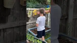Perrywood Community Planting Campaign