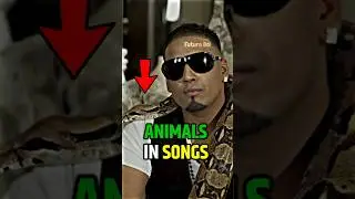 Dangerous Animals in Punjabi Songs☝🏻2025