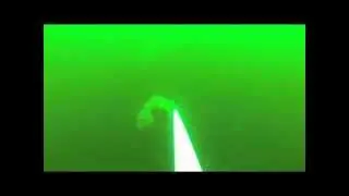 Baited Remote Underwater Video survey -- Octopus attack Part 2
