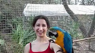 Zaksee Bird Rescue And Sanctuary in Tampa, Florida 18
