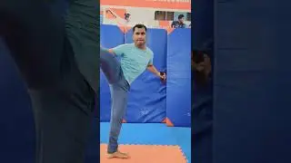 High Action Voltez #shorts #youtubeshorts #trending #martialarts