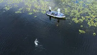 Canadian Lake Multi-Species
