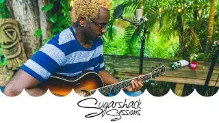 Darenots - Gold Fangs (Live Music) | Sugarshack Sessions