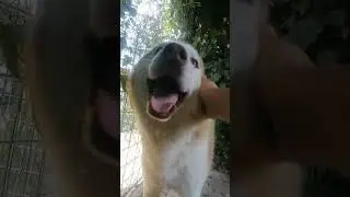 VID 20240904 135452