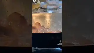 cooking bacon be like #funny #comedy #humor #fun #laughing #meme #tiktok #entertainment #screaming