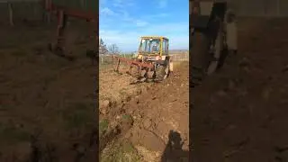 Болгар ТК-80 оран #3