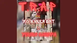 Trap