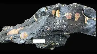 Video 16 About Austral Asian tektite erosion, mechanical and chemical