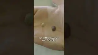 Коричневые кофейные зерна &mdash; это не то, что вы думаете! 😱‼️