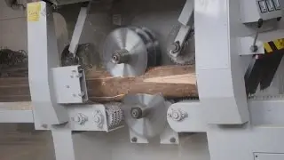 MJ-LMR-300 Round log saw machine, log circular saw, log multi blade saw machine