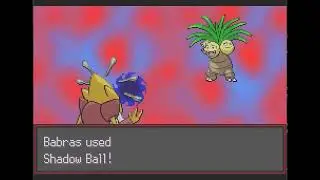 Pokemon Radical Red vs Bird Keeper Robert ( 1 slot hardcore mode )