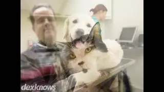 Animal Clinic Of Madison-Mayodan Madison NC 27025-1506