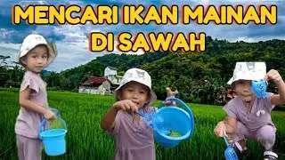 MENCARI IKAN MAINAN DI SAWAH