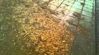 26032011131