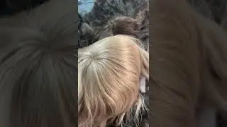 Hair toupee finished for custom order. We follow your specification Suncolor.my Shopify.com