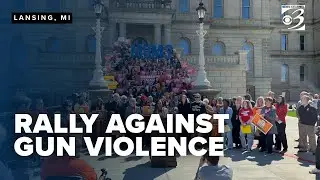 Activists rally at State Capitol, call for sensible gun reform laws