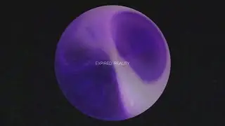 VSN7 x ▽ - Expired Reality (2021) [Announcement Teaser]