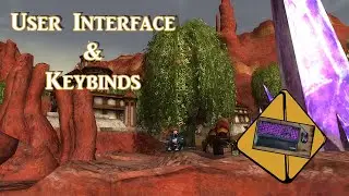 My User Interface & Keybinds | DDO #14