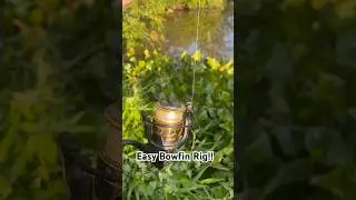 Easy Rig For New Jersey Bowfin! #fishing #newjersey #bowfin #cutbait #multispeciesfishing