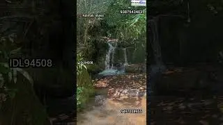 Agriculture Land with House for Sale at Adimaly, idukki