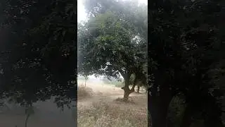 gadan  #video