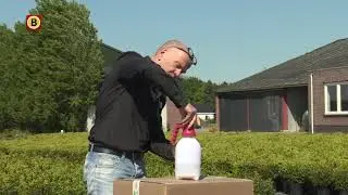 Buxuskweker Adrie van Dun heeft een biologisch alternatief voor de gifspuit