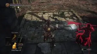DS3: When you summon a salty Little Red Rym (Ft.Rym Little) ;)