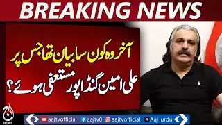Ali Amin Gandapur Resigns | Alima Khan Statement | PTI Internal Dispute | Pakistan news