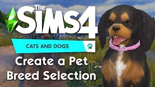 Create a Pet: Selecting Through Breeds | The Sims 4 Cats & Dogs Demo