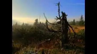 BALAKIREV_In Bohemia- Overture on Czech Themes