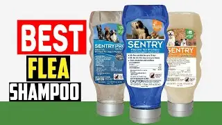 ✅Top 5 Best Flea Shampoo For Dogs in 2025