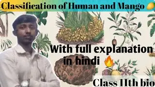 Classification class 11th in hindi biology 😲,Classification human and mango with full explain 🥭.