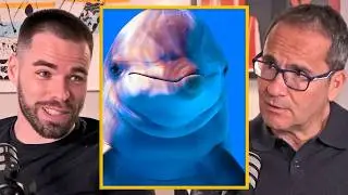 Top 3 de Animales Más Crueles de la Naturaleza – @MarioDeWonder Sorprende a Todos