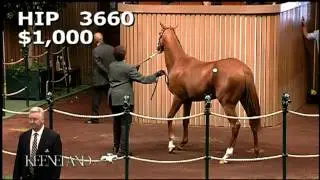 2012 Derby & Preakness Winner I'll Have Another Selling at Keeneland